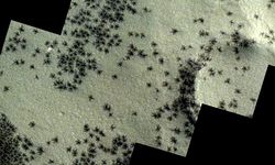 Mars'ta örümceğe benzeyen maddeler görüntülendi