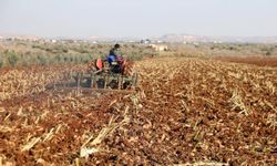 Türkiye ile Irak arasında tarımsal iş birliğinde de yeni dönem