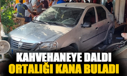 Adana’da kahvehaneye dalan otomobil ortalığı kana buladı: 1’i ağır 5 yaralı