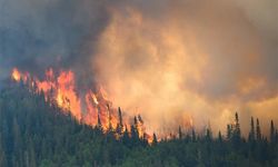 Kanada orman yangınlarında dolayı tahliyelere başladı