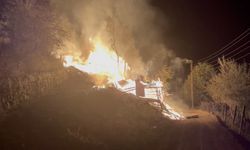 Şavşat'ta çıkan yangında 2 kişi hafif yaralandı