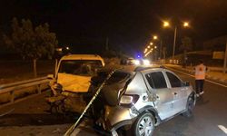 Cizre’de 2 araç çarpıştı: Sürü telef oldu çoban hayatını kaybetti