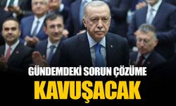 Erdoğan: Hayvanlar konusunda kimse bize merhamet dersi vermeye kalkışmasın
