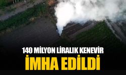 Diyarbakır’da 140 milyon TL değerinde Hint keneviri imha edildi