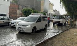 Adana'da sağanak ve şiddetli rüzgarda ağaç devrildi