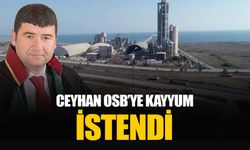 Usulsüz arsa satışı yaptığı iddia edilen Adana’daki Ceyhan OSB'ye kayyum atanması istendi