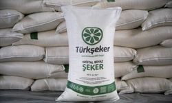 Türkşeker fabrikalarına 1350 geçici işçi alınacak