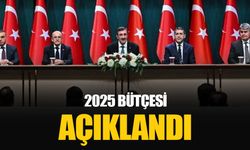 2025 yılı bütçesi açıklandı: En büyük pay eğitim ve sağlık alanlarına