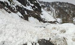 Borçka'da çığ nedeniyle 6 köy yolu ulaşıma kapandı