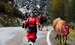 Doğu Karadeniz'de kar yağışı yaylalardan dönüşü hızlandırdı