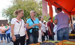 Didim Zeytin Festivali başladı