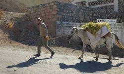 Gercüş’te imece usulü orakla pirinç hasadı yapıldı