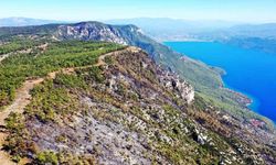 Gökova’da alevlerin önünü kesmek için 6,5 kilometre yangın şeridi açıldı