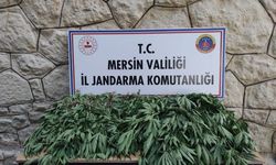 Mersin’de uyuşturucu serası kuran şahıs yakalandı