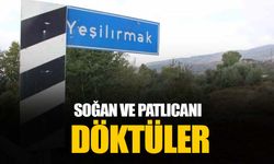 Yeşilırmak kıyısına çuvallar dolusu soğan ve patlıcan döktüler