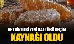 Bu bal başka! Keşfedilen bal türü köylünün yeni gelir kapısı oldu