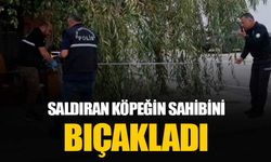 Edirne'de oğluna saldıran köpeğin sahibini bıçakladı