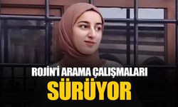 Rojin Kabaiş'i arama çalışmaları Van Gölü'nde ve kıyıda sürüyor