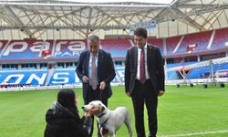 Trabzonspor Kulübü, Fenerbahçe maçı öncesinde sahaya giren köpeği sahiplendi