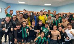 Denizlispor galibiyet hasretine deplasmanda son verdi