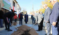 Elazığ’da organik mercimek üretimi artıyor