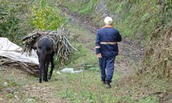 Giresun’un köylerinde katırcılık sona eriyor