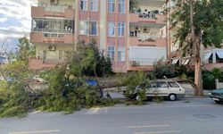 Mersin’de fırtına ağaçlar devrildi, araçlar zarar gördü camlar kırıldı