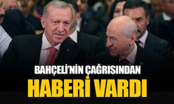 Bahçeli'nin Öcalan çağrısından Erdoğan’ın haberi vardı: Başdanışman Uçum açıkladı