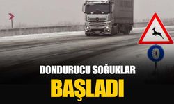 Doğu Anadolu'da kar yerini dondurucu soğuklara bıraktı