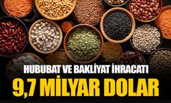 10 aylık hububat ve bakliyat ihracatı 9,7 milyar dolar olarak gerçekleşti