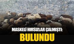 Sarıkamış’ta maskeli hırsızlar tarafından çalınan hayvanlar bulundu