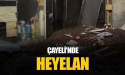 Çayeli'nde heyelan: Can kaybı var