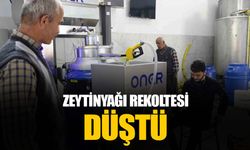 Mersin'de üreticiler zeytinyağında rekoltenin düşük olduğunu söyledi