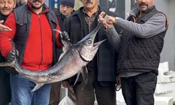 Karadeniz’den Erzincan’a gelen Kılıçbalığıyla poz verdiler