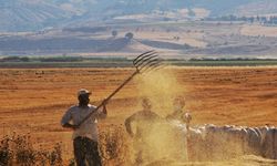 Tarımsal girdi fiyat endeksi yıllık yüzde 32,59 arttı