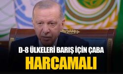 Erdoğan bölgede barışın tesisi için D-8 ülkelerine dikkat çekti