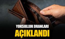 Yolsulluk oranları belli oldu: 2024 yılında en yüksek yoksulluk oranı bir okul bitirmeyenlerde görüldü