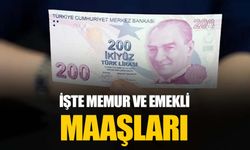 Memur ve emeklilerin zam oranı belli oldu: Hangi memur ne kadar maaş alacak?