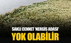 Adana’nın saklı cenneti 'Nergis Adası' yok olabilir