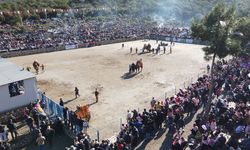 Bodrum'da "Geleneksel Deve Güreşi Festivali" yapıldı