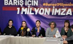 DEM Parti Eş Genel Başkanı Hatimoğulları "Barış için 1 milyon imza" toplantısına katıldı