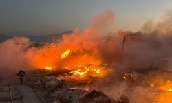 Samandağ'da sazlık alanda çıkan yangın söndürüldü