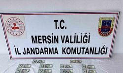 Mersin’de sahte dolar yakalandı