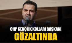 CHP Gençlik Kolları Başkanı Cem Aydın gözaltına alındı