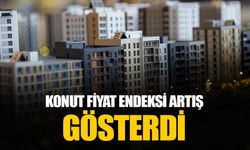 Konut Fiyat Endeksi aralıkta yüzde 2 artış gösterdi