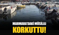 Marmara Denizi’nde yeniden çıkan müsilaj korkuttu!