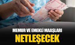 Memur ve emekli maaş zamları netleşecek: Enflasyon verileri bekleniyor