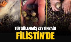 Tütsülenmiş zeytinyağı: 2 bin yıllık lezzetli gelenek Filistin’de sürüyor