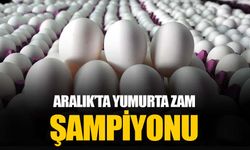 Aralık ayının zam şampiyonu yumurta oldu