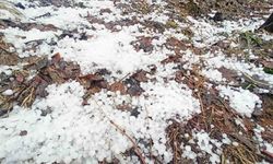 Bitlis’te dolu yağışı etkili oldu